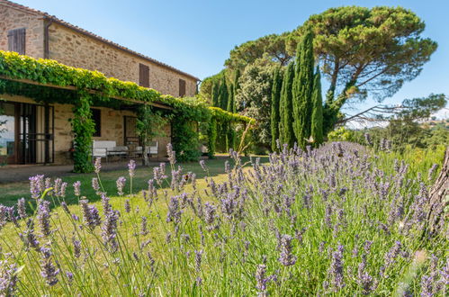 Foto 38 - Casa de 3 quartos em Scansano com jardim e terraço