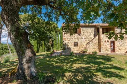 Foto 45 - Casa con 3 camere da letto a Scansano con giardino e terrazza