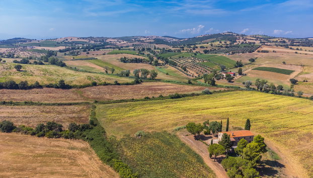 Casa de 6 habitaciones en Magliano in Toscana con jardín - Foto 3