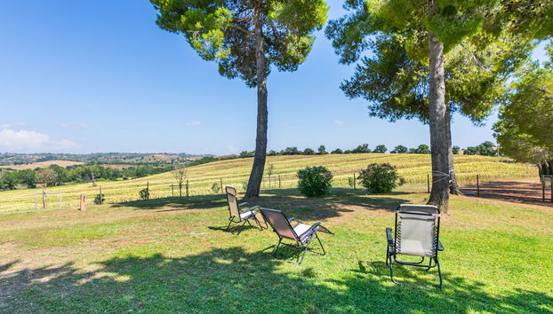 Casa de 6 habitaciones en Magliano in Toscana con jardín - Foto 5