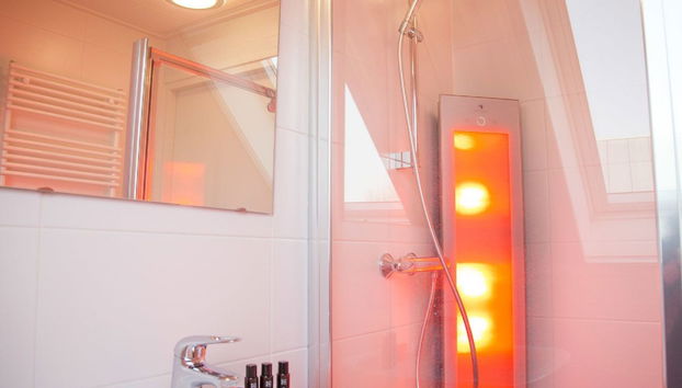 Casa de 5 quartos em Tholen com sauna e banheira de hidromassagem - Foto 5