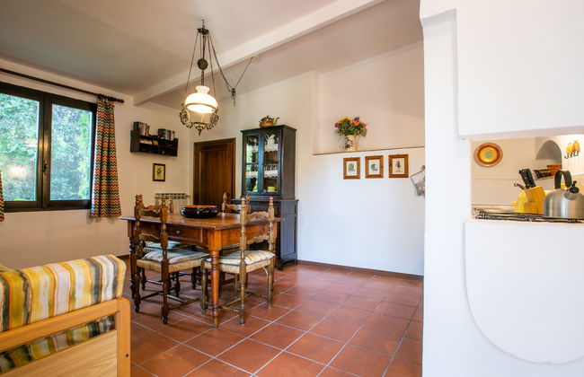 Casa de 2 quartos em Colle di Val d'Elsa com piscina e jardim - Foto 8