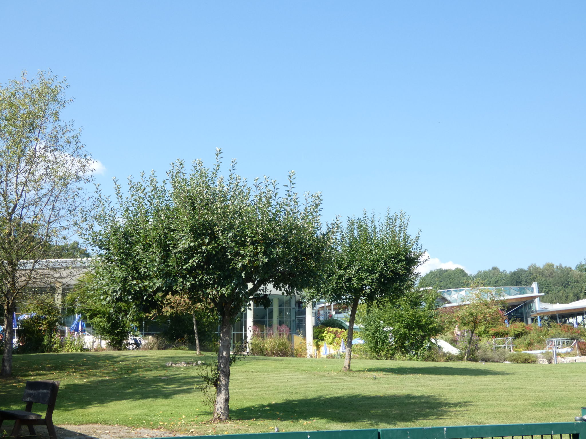 Photo 12 - Maison de 2 chambres à Mistelgau avec jardin et vues sur la montagne