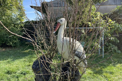 Foto 18 - Appartamento con 2 camere da letto a Mirow con giardino