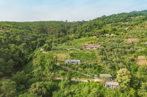 Photo 21 - 2 bedroom House in Montignoso with garden and terrace