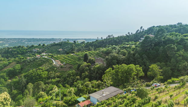 Haus mit 2 Schlafzimmern in Montignoso mit garten und terrasse - Foto 5