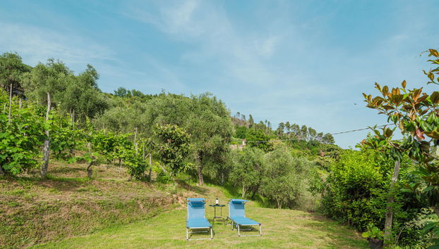 Haus mit 2 Schlafzimmern in Montignoso mit garten und terrasse - Foto 4