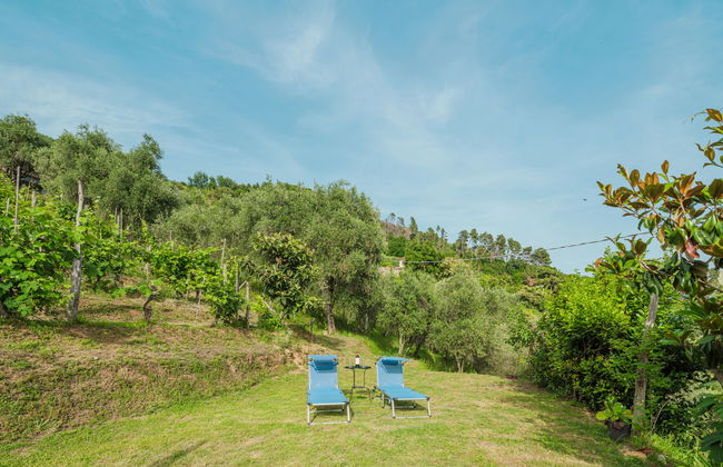 Casa de 2 quartos em Montignoso com jardim e terraço - Foto 4