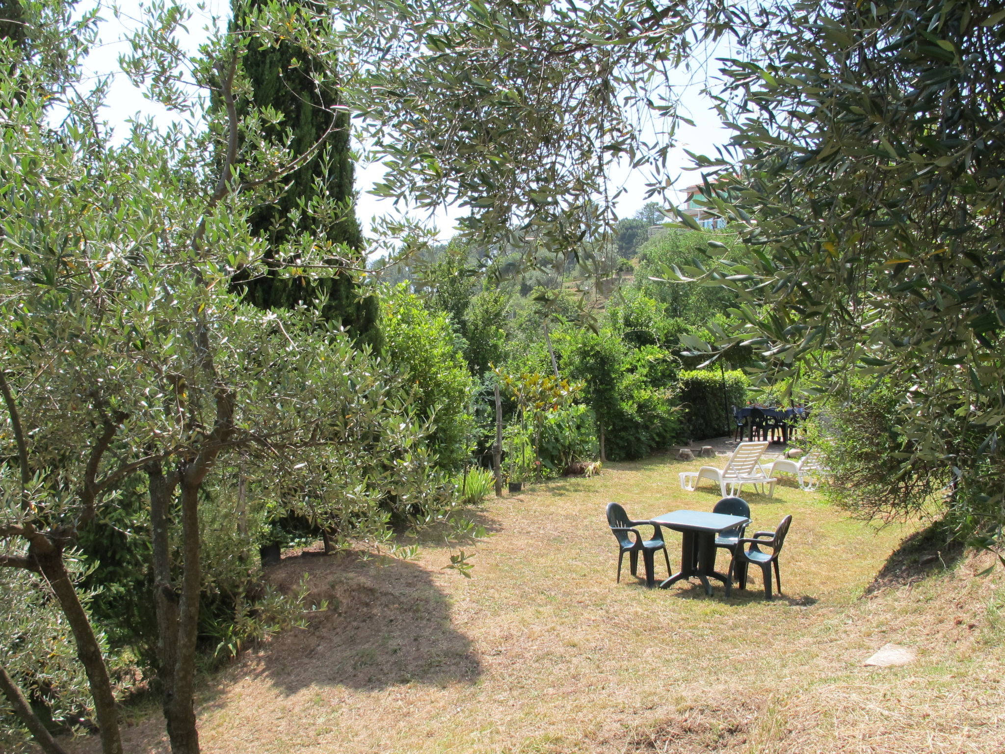 Photo 26 - Maison de 2 chambres à Montignoso avec jardin et terrasse