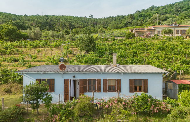 Casa de 2 quartos em Montignoso com jardim e terraço - Foto 1