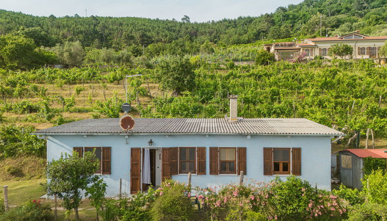 Photo 1 - Maison de 2 chambres à Montignoso avec jardin et terrasse