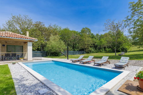 Photo 14 - Maison de 1 chambre à Pazin avec piscine privée et jardin