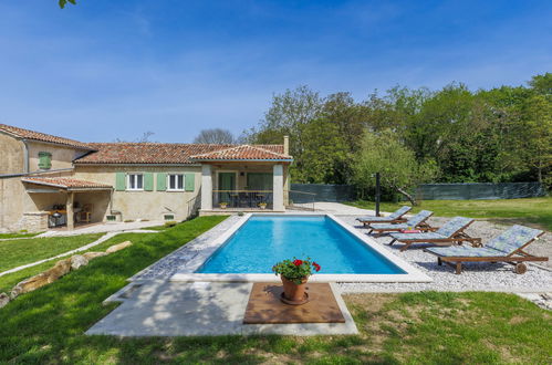 Photo 15 - Maison de 1 chambre à Pazin avec piscine privée et jardin