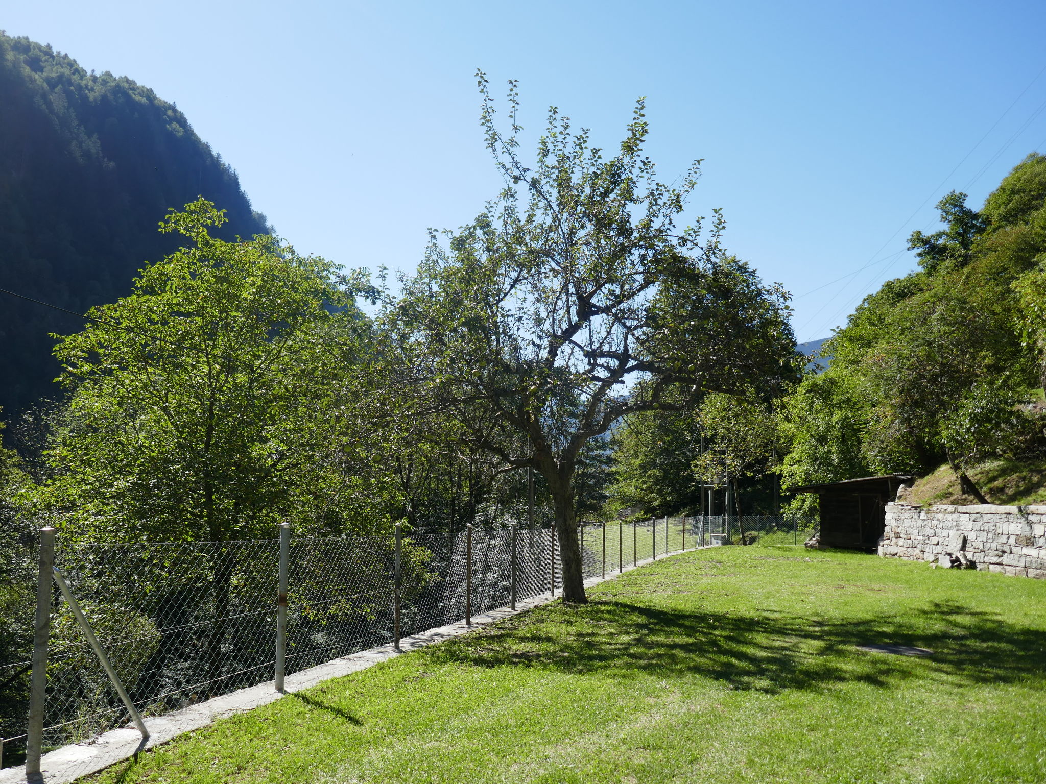 Photo 25 - 2 bedroom House in Serravalle with garden and mountain view