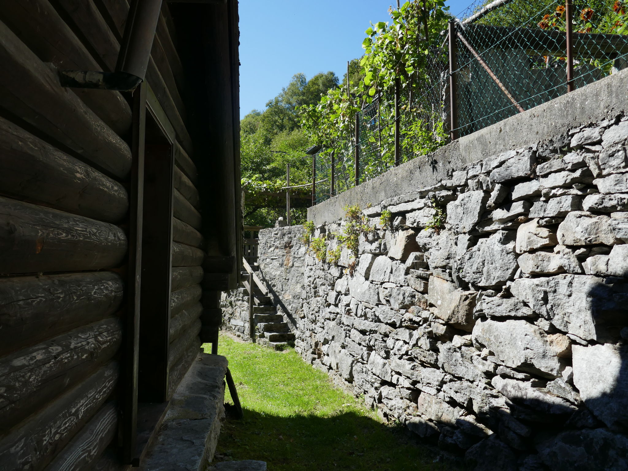 Photo 23 - Maison de 2 chambres à Serravalle avec jardin et vues sur la montagne