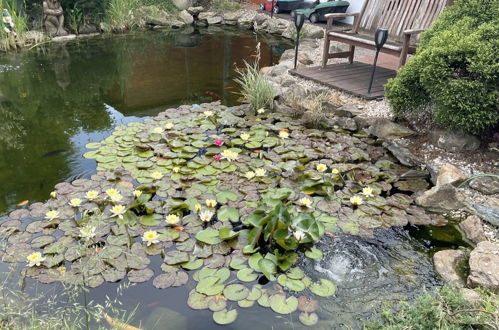 Photo 40 - Maison de 2 chambres à Vrbova Lhota avec piscine privée et jardin