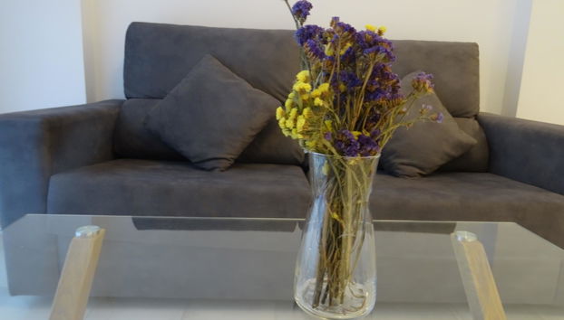 Domus Apartamentos 3 - Foto 5