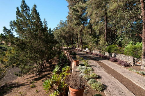 Foto 30 - Casa con 5 camere da letto a Santa Brígida con piscina privata e giardino