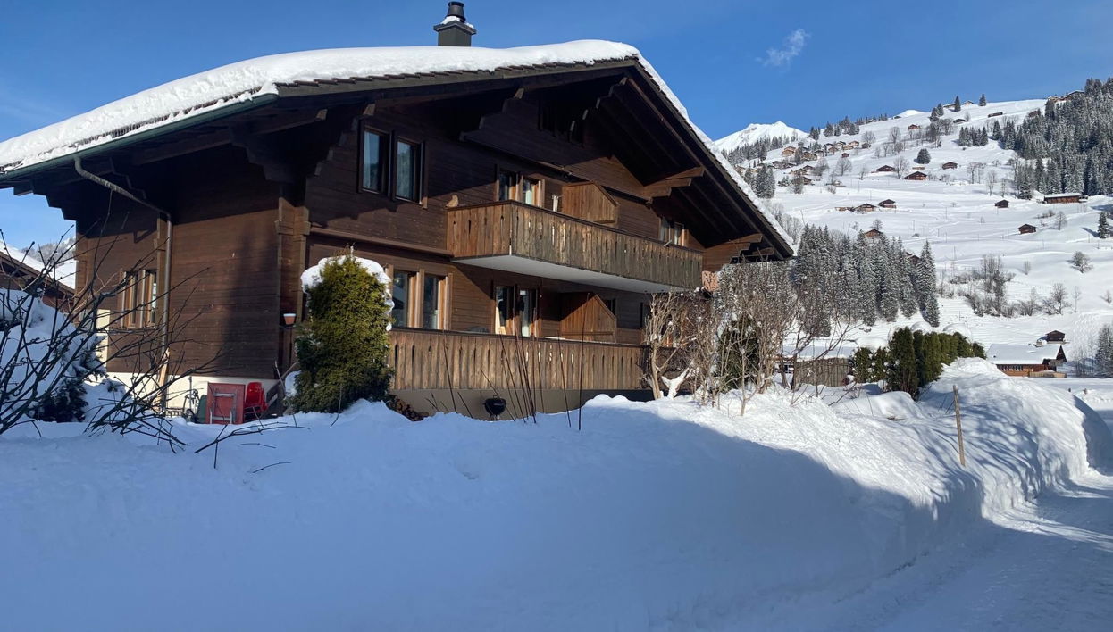 4 bedroom Apartment in Lenk with garden - Photo 1