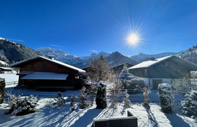 Apartamento de 4 quartos em Lenk com jardim - Foto 2