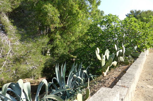 Foto 30 - Apartamento de 3 habitaciones en Morciano di Leuca con jardín y terraza