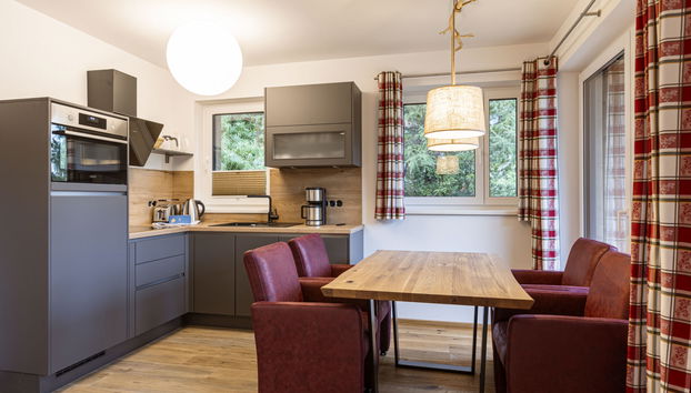 Appartamento con 2 camere da letto a Stadl-Predlitz con giardino - Foto 3