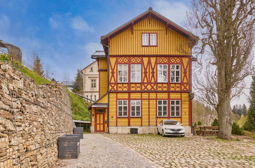 Photo 35 - Appartement de 2 chambres à Janské Lázně avec vues sur la montagne