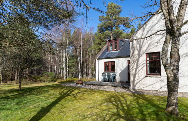 4 bedroom House in Nethy Bridge with garden - Photo 35