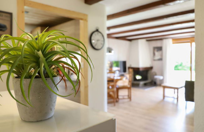 Appartement de 3 chambres à Ollon avec jardin - Photo 6