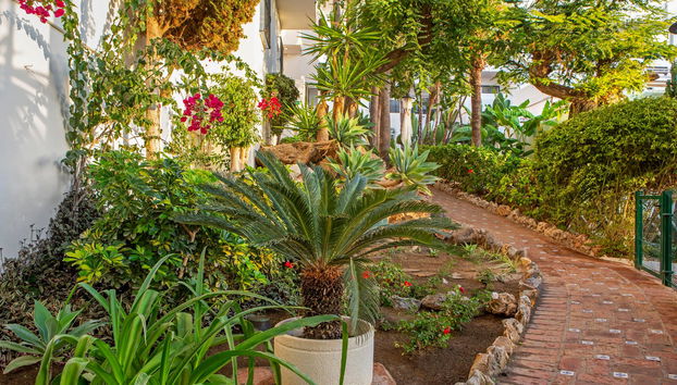 Royal Oasis Club at Pueblo Quinta - Foto 3