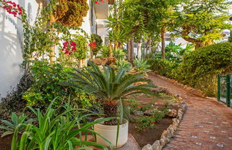 Foto 3 - Royal Oasis Club at Pueblo Quinta