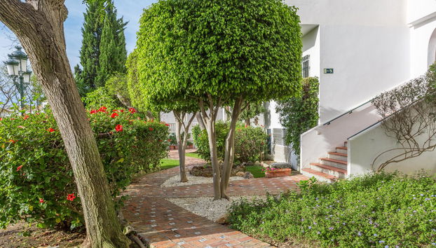 Royal Oasis Club at Pueblo Quinta - Foto 4