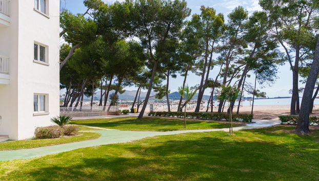 Ferrer Lime Playa de Alcudia - Foto 5