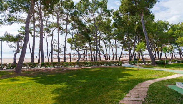 Ferrer Lime Playa de Alcudia - Foto 4