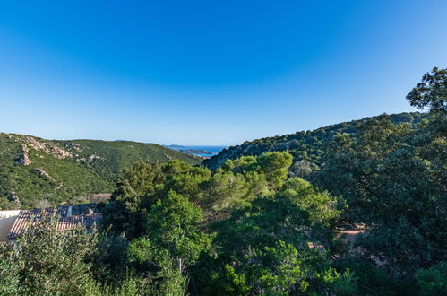 Foto 6 - Haus mit 2 Schlafzimmern in Sotta mit terrasse und blick aufs meer