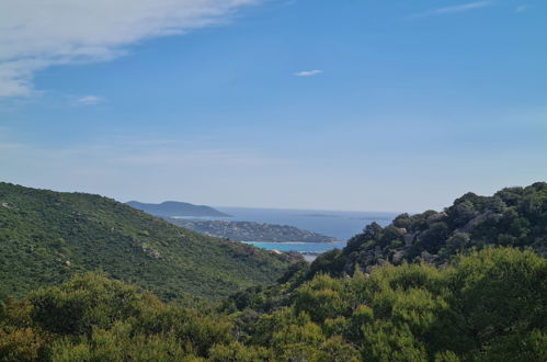 Photo 1 - Maison de 2 chambres à Sotta avec terrasse et vues à la mer