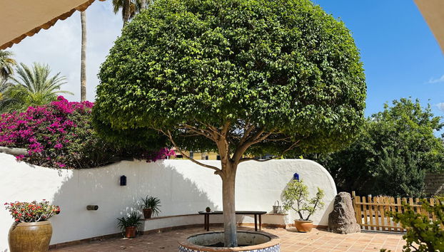 Casa con 4 camere da letto a Adeje con piscina privata e giardino - Foto 5