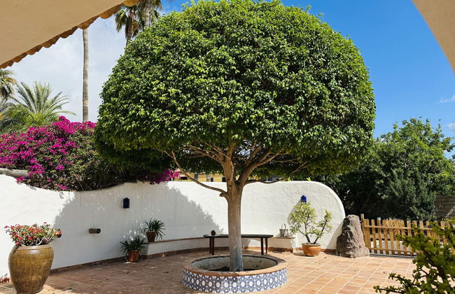 Casa de 4 quartos em Adeje com piscina privada e jardim - Foto 5