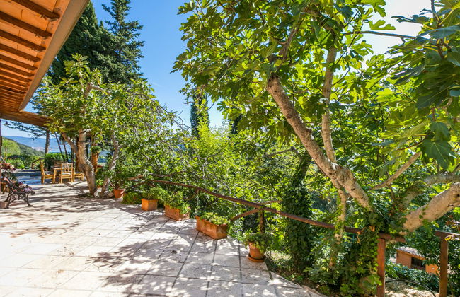 Casa de 4 quartos em Monte Argentario com jardim e terraço - Foto 56