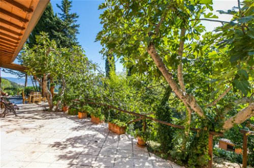 Photo 60 - Maison de 3 chambres à Monte Argentario avec jardin et vues à la mer