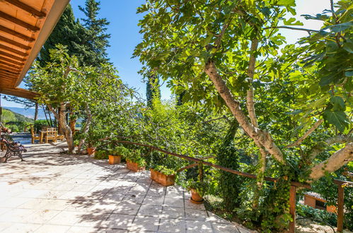 Foto 60 - Casa de 3 habitaciones en Monte Argentario con jardín y vistas al mar