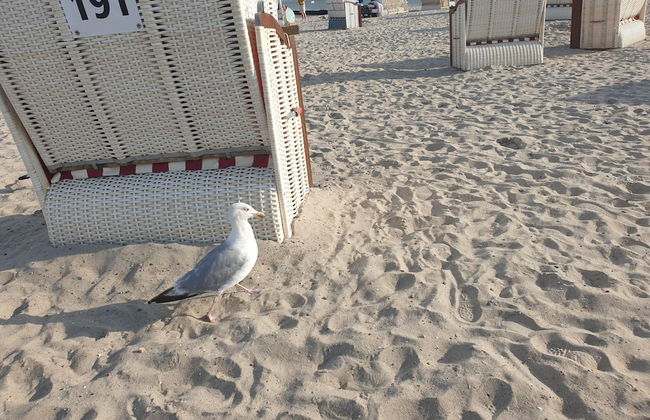 Holiday Home in Großenbrode - Foto 14