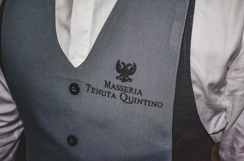Foto 11 - Masseria Tenuta Quintino