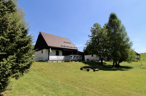 Foto 21 - Casa de 3 quartos em Černý Důl com jardim e terraço