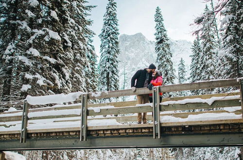 Photo 38 - Emerald Lake Lodge