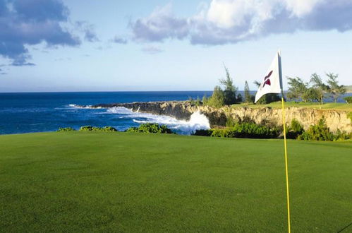 Photo 68 - Kapalua Villas Maui by Outrigger