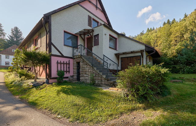 Apartamento de 1 quarto em Stárkov com piscina e jardim - Foto 30