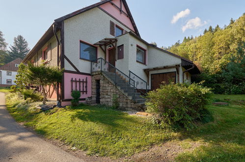 Photo 30 - Apartment in Stárkov with swimming pool and garden