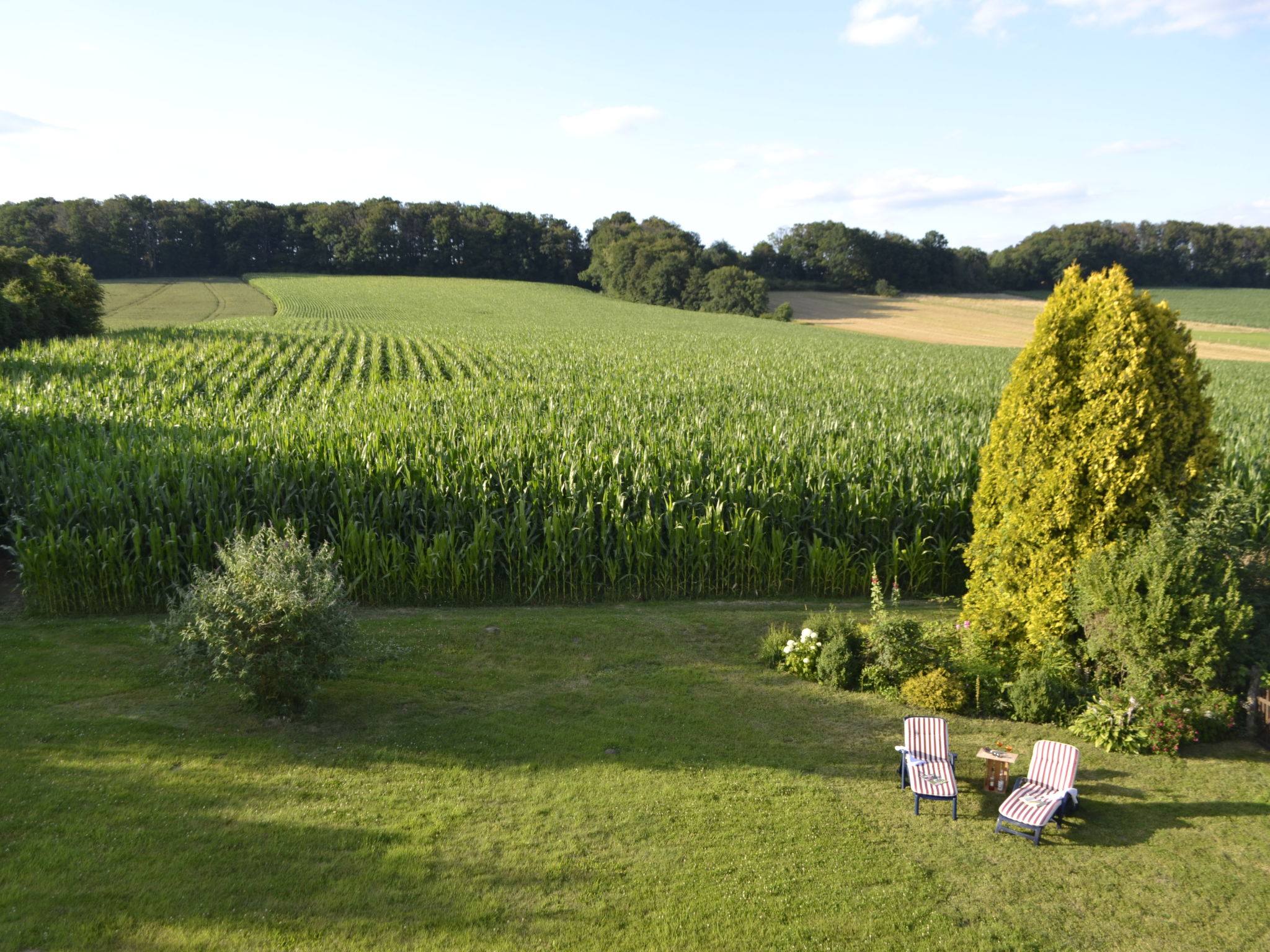 Photo 22 - Appartement de 1 chambre à Detmold avec jardin et terrasse