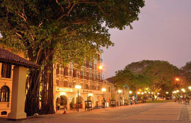 Discover Colombo City - Private Tour - Photo 6